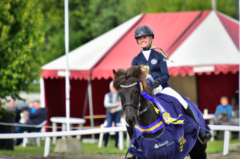 Allt du behöver veta om GK-SM