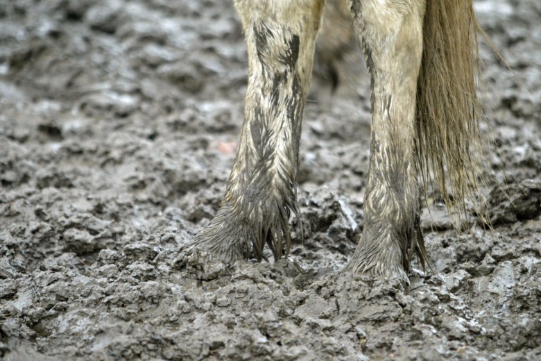 Fem tips om hur du hanterar leran