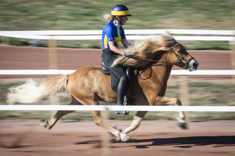 Sverigeettan väntar barn