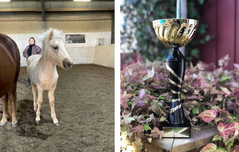 Kolla klippet: Stoföl blev högst bedömd hos Gladur