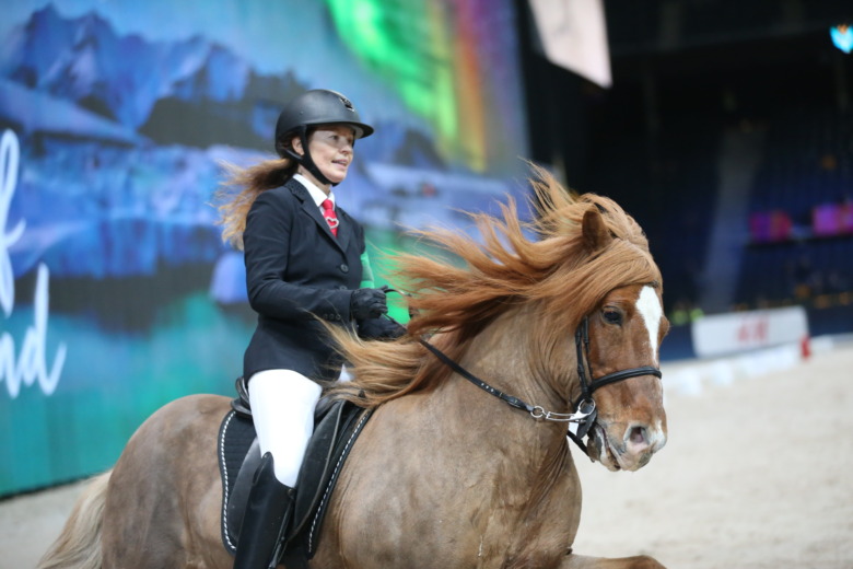 Kveikur frá Stangarlæk 1 till SIHS