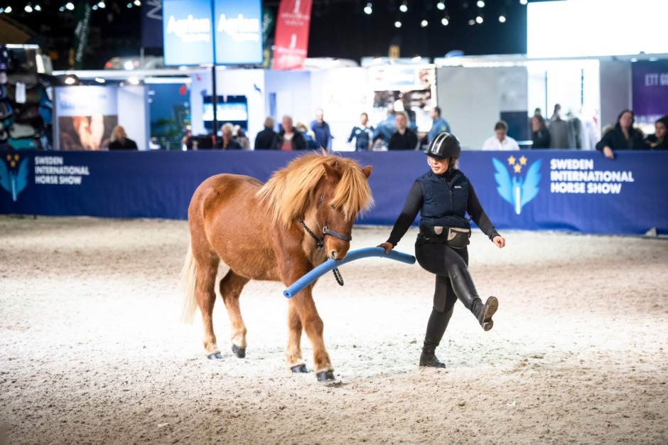 Islandshästfest på Sweden International Horse Show
