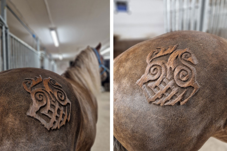 Kreativ klippning – Linnea klippte Sleipner