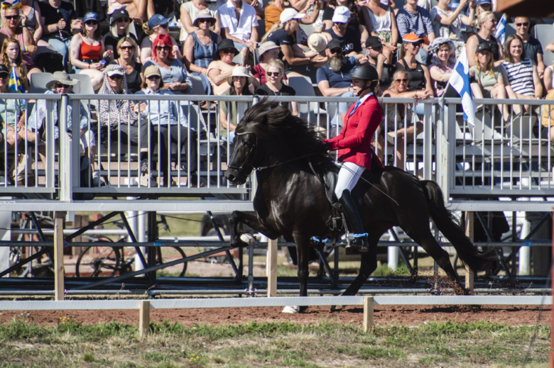 Högklassig T1-final på Danska Mästerskapen