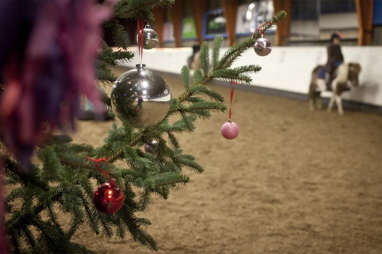 Tips för en säkrare jul i stallet