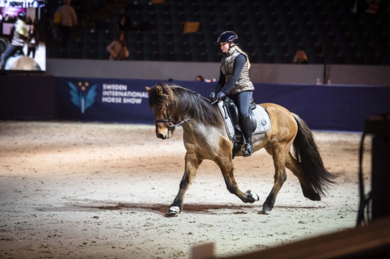 ”Övergångar är nyckeln till bra ridning”