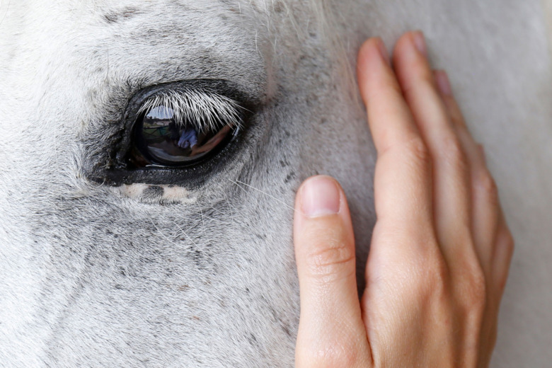 ”I början tar sorgen hela platsen”