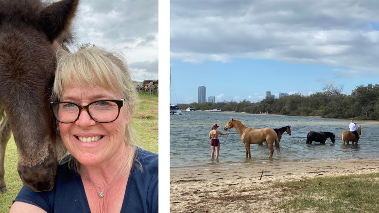 ”Man oroar sig inte så mycket över de giftiga djuren”