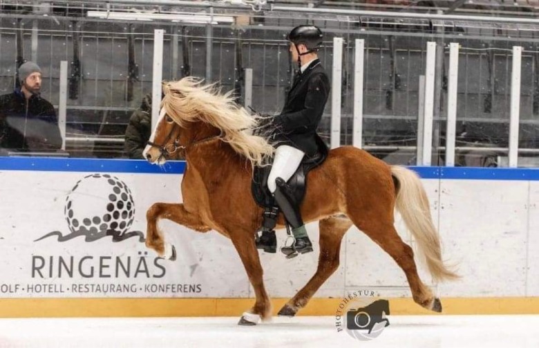 Flera svenska ekipage till Fredrikshamns istölt