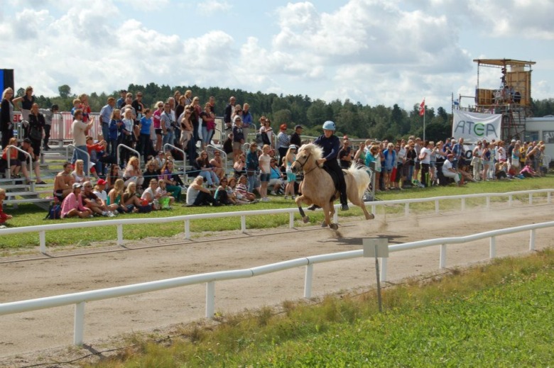 ”Viljan att springa fort har gjort starter i samtliga grenar lite svårare”