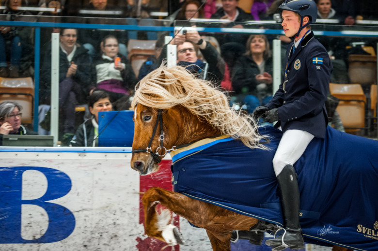 Pierre Sandsten Hoyos i Österrikes VM-trupp