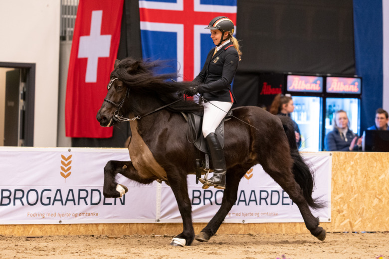 Tysklands VM-lag tillkännagett