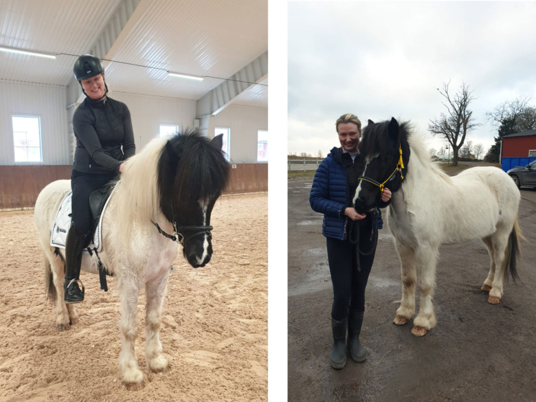 ”Islandshästarna är mentalt väldigt trevliga”