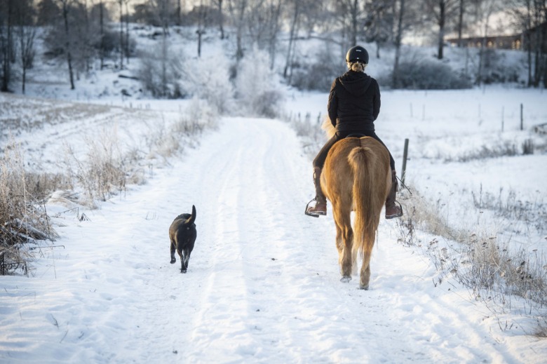 ”Vi måste göra det så lätt som möjligt för hästen att bära oss”