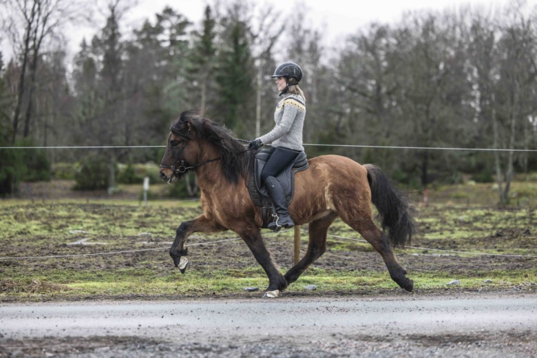 ”Han var den första hästen jag tävlade SM på”