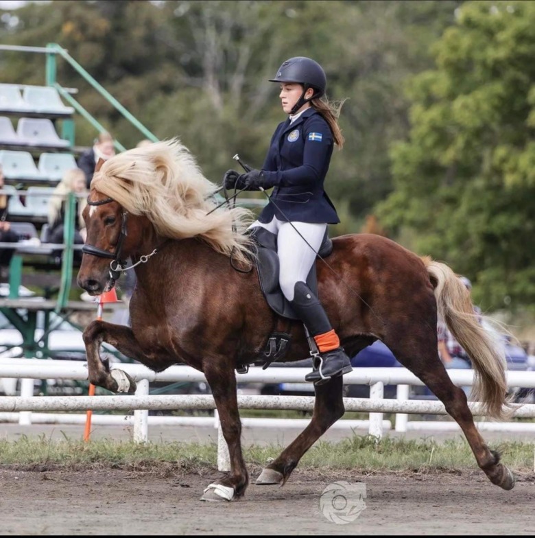 Stort tävlingsfokus för Milla Logan