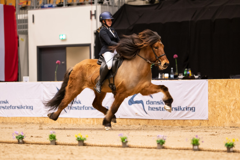 Så gick finaldagen på World Toelt