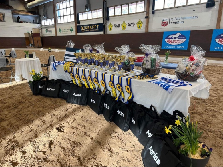 Vintermästerskapen ställer in