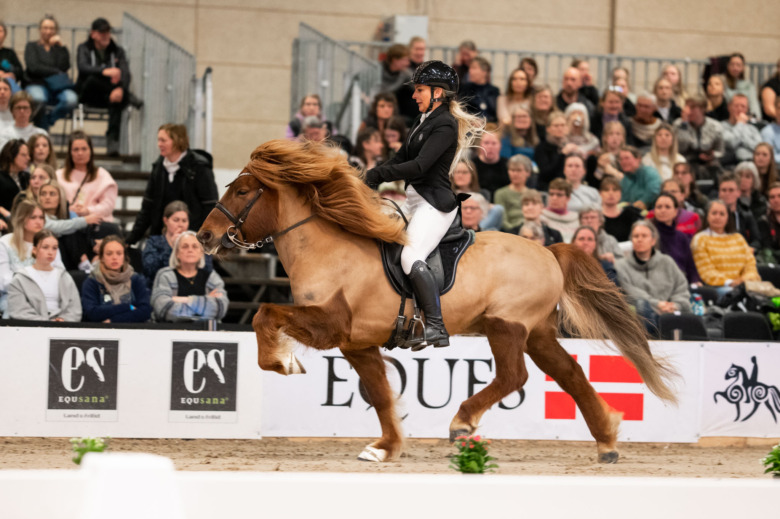 Ljusa framtidsutsikter för Louise Löfgren och Týr från Svala Gård