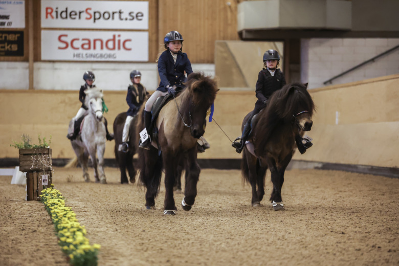 Islandshästevenemang flyttas på grund av smitta: ”Kan locka lite nytt folk”