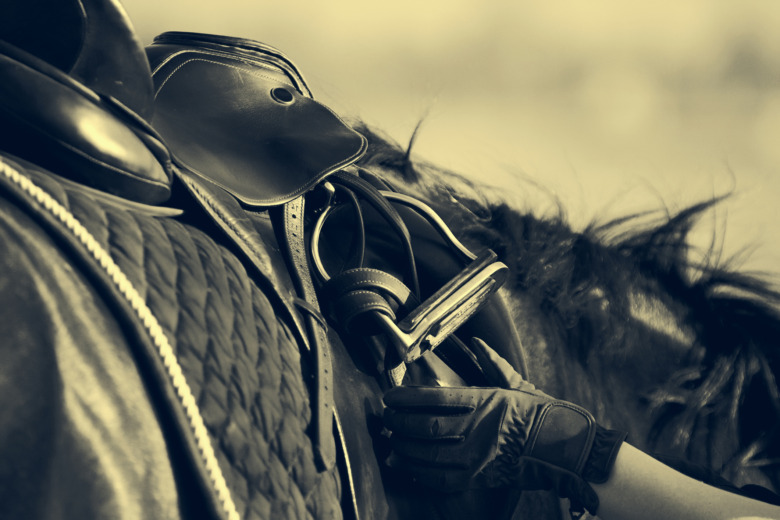 Gymnasieelev döms för sadelstölder