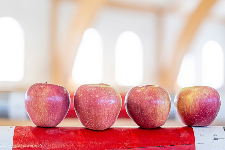 ”Hitta beteenden att förstärka”