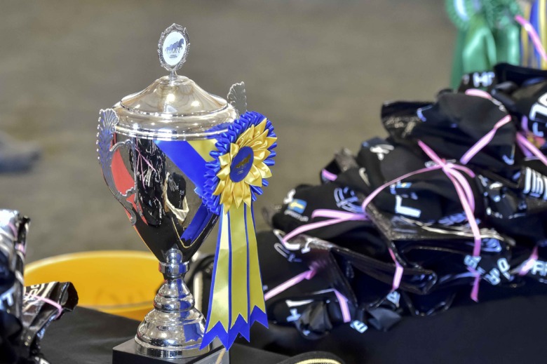 Inkludering och gemenskap i fokus vid Rickebastas Meistaradeildin