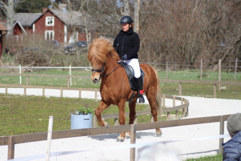 Sporten växer på Gotland med nya ovalbanor