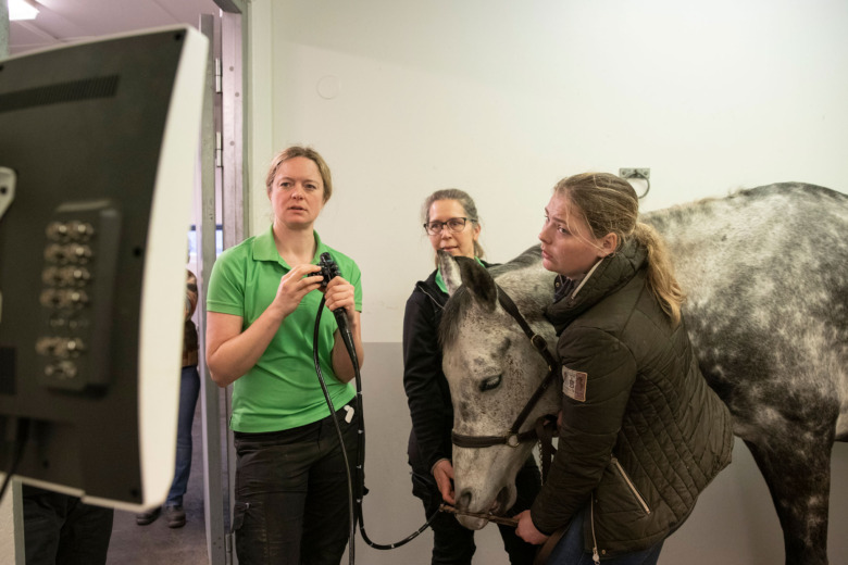 Långvarig smärta kan leda till svårbehandlat magsår