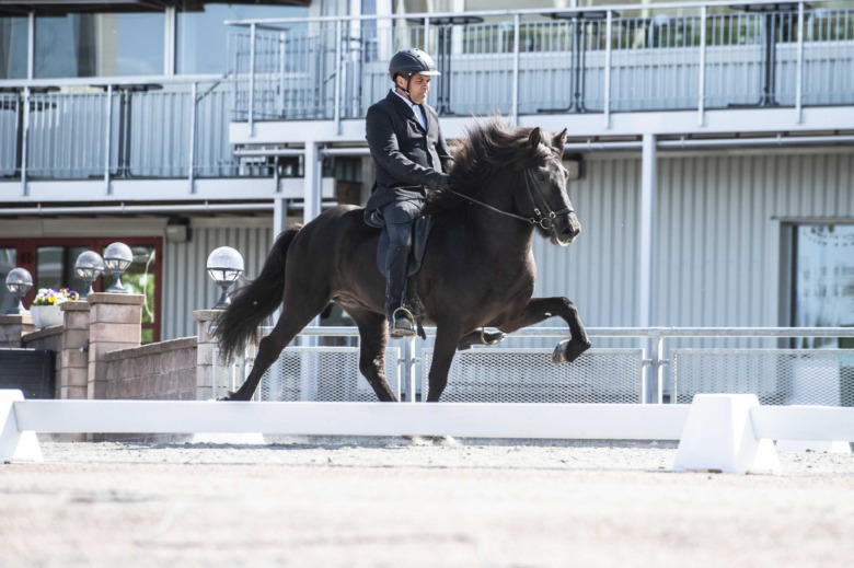 Hersir från Lilla Sträckås till ungdomsryttare