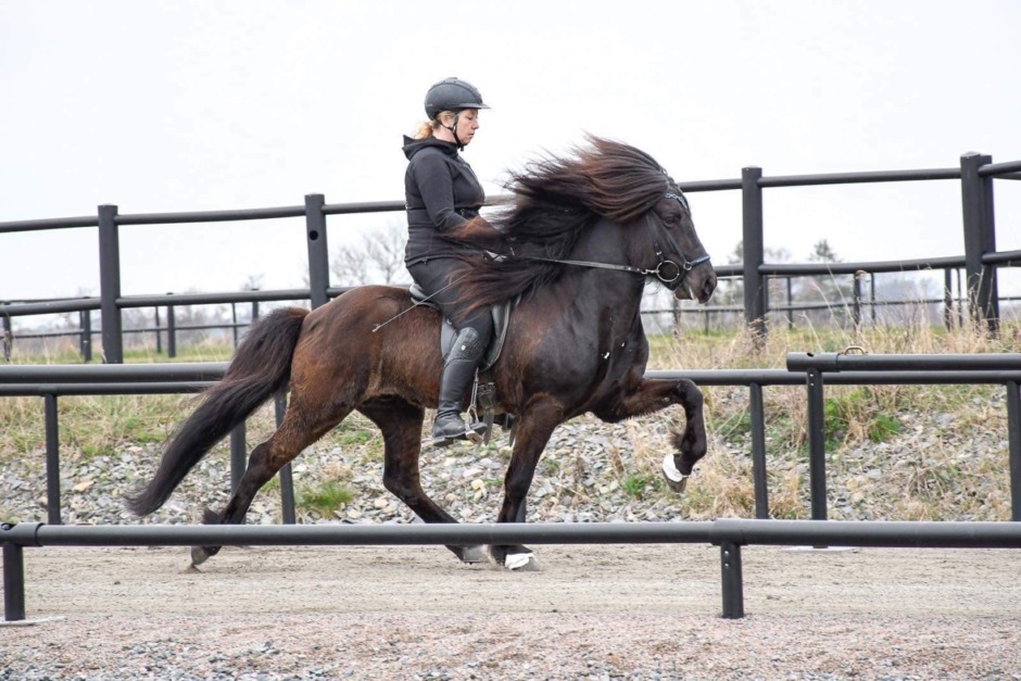 Jenny Göransson siktar mot SM med ny häst