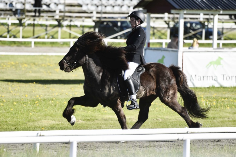 Hundradelarnas kamp under Dyggurs GK-kval