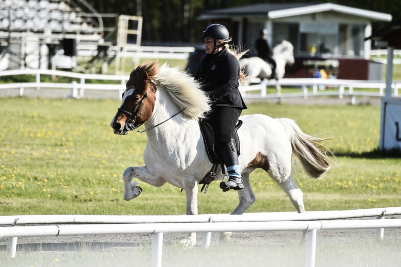 GK-SM – det händer under torsdagen