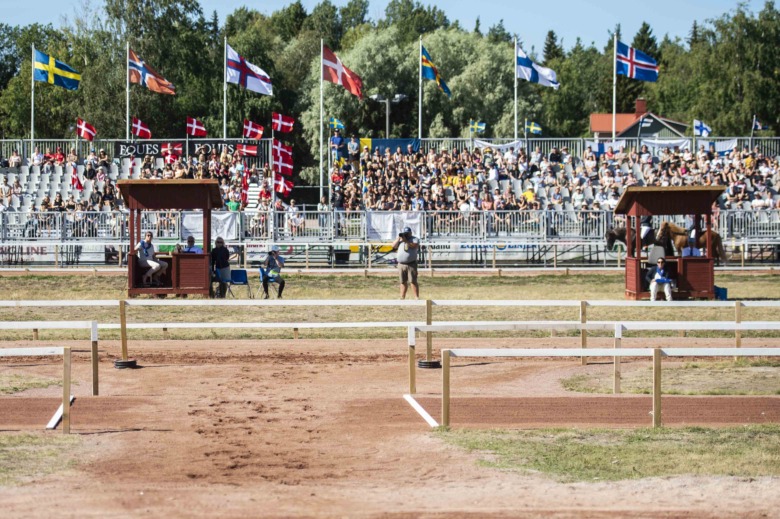 Debatt: Att svälja mygg och kameler med hull och hår