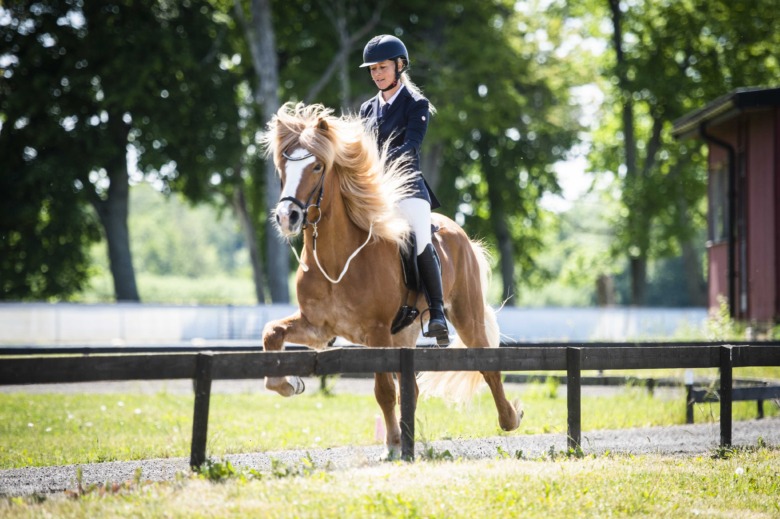 Kolla klippet: Ögonblick från ÖSM