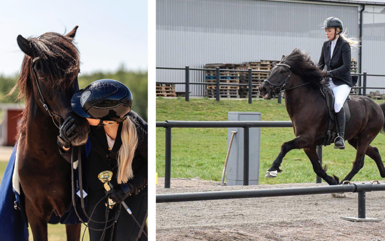 ”Det finns många knappar på honom som jag inte trodde fanns på hästar”