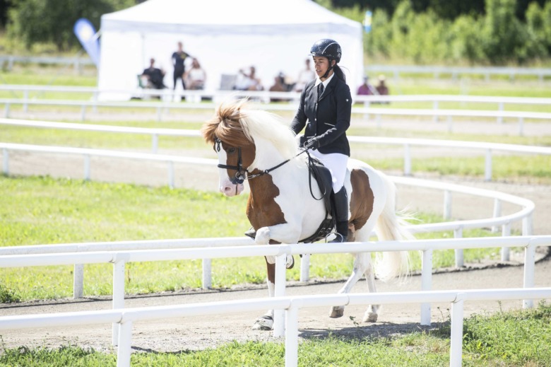 Noga planering för lång resa till VM