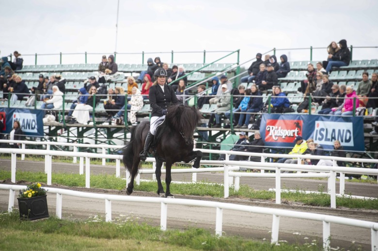 SM: Töltfest och flytt till Island