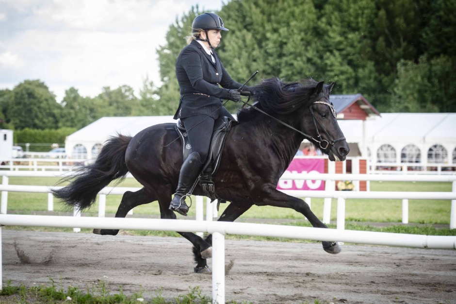 Katie Sundin Brumpton: ”Kul att ha hästar i många olika grenar”