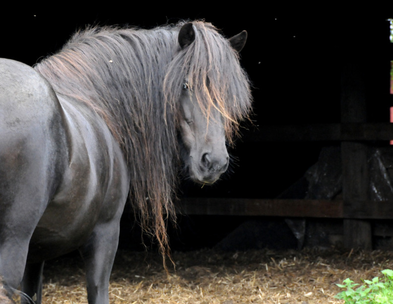 Minning från Margaretehof har somnat in