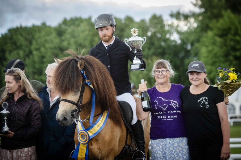 Bildextra: Hingstarna på Avelsmästerskapen