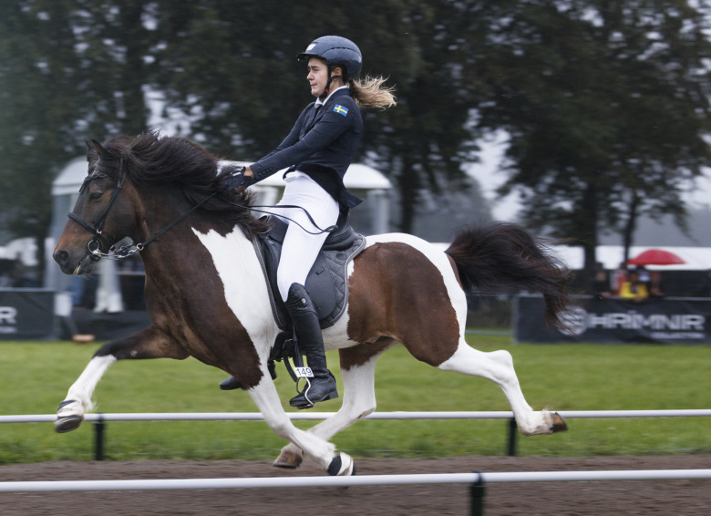 Dubbla VM-brons till Sverige i stilpass