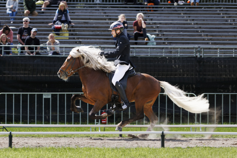 Pierre Sandsten Hoyos satsar allt på ett kort