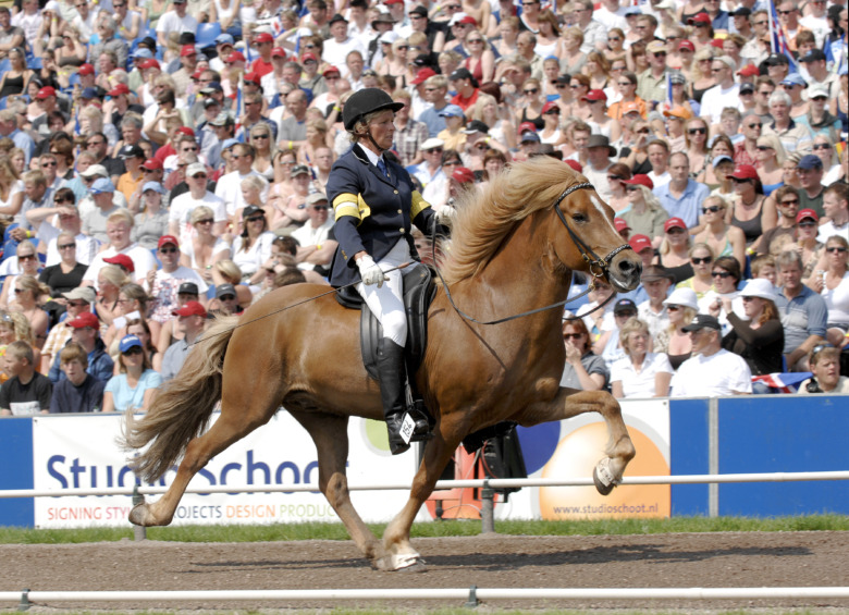 ”Han var verkligen en once in a lifetime-häst”