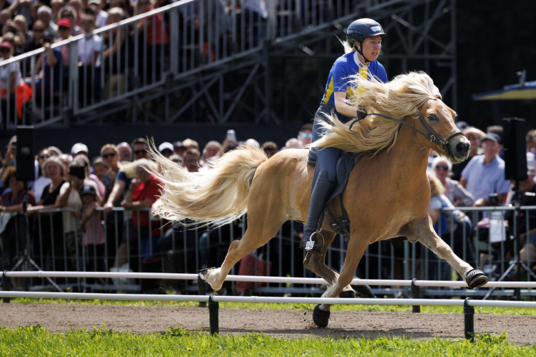 Lyssna: ”Jag ska nog våga lite mera inför 2024”