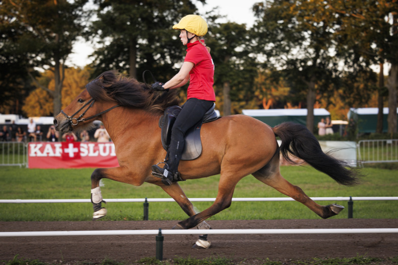 Svenska landslaget medaljlöst i P1