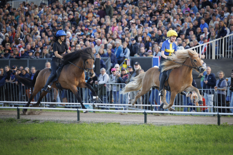 Bildextra: Första löpen i 250 meter pass