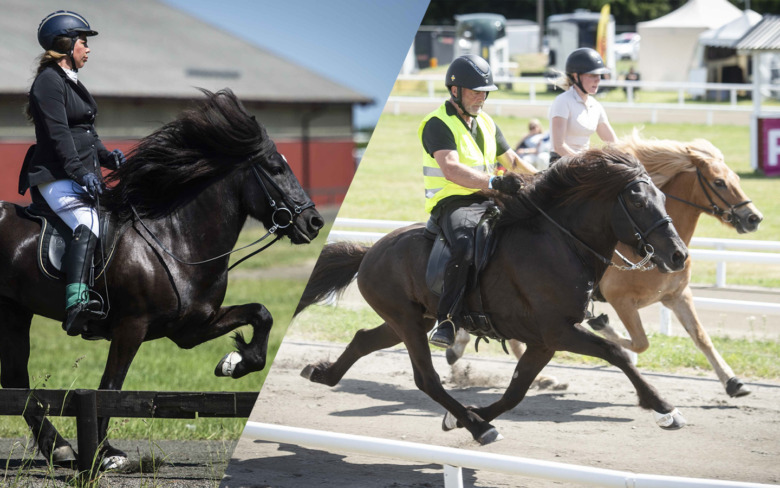Svenskar i topp tio på världsrankningen