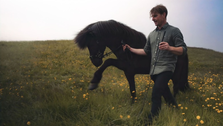 Equanimity – filosofin för hästens glädje och egna ansvar