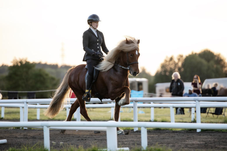 GK-SM: ”Jag är lite smått chockad”